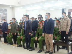 Ảnh bìa bài viết 828488