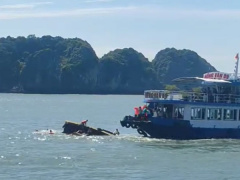 Ảnh bìa bài viết 828467
