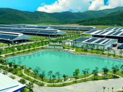 Ảnh bìa bài viết 828565