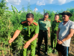 Ảnh bìa bài viết 828768