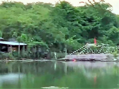 Ảnh bìa bài viết 828751