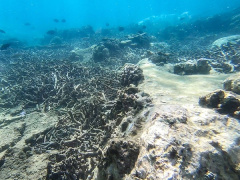 Ảnh bìa bài viết 828895