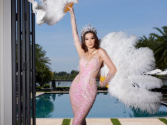 Ảnh bìa bài viết 829106