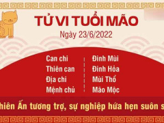 Ảnh bìa bài viết 828975