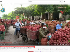 Ảnh bìa bài viết 829058
