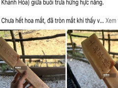 Ảnh bìa bài viết 829200