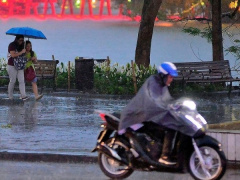 Ảnh bìa bài viết 829397