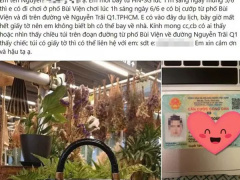 Ảnh bìa bài viết 829614