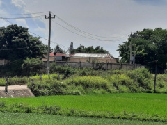 Ảnh bìa bài viết 829792
