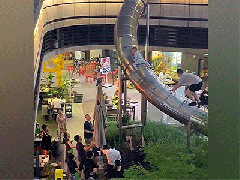 Ảnh bìa bài viết 829932