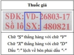 Ảnh bìa bài viết 830128