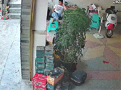 Ảnh bìa bài viết 830033