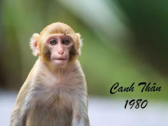 Ảnh bìa bài viết 830275
