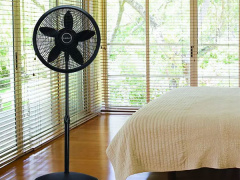 Ảnh bìa bài viết 831005