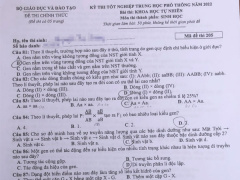 Ảnh bìa bài viết 831120