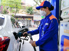 Ảnh bìa bài viết 831068
