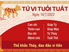 Ảnh bìa bài viết 831334