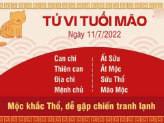 Ảnh bìa bài viết 831456
