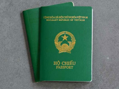 Ảnh bìa bài viết 831659