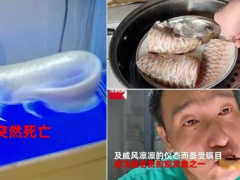 Ảnh bìa bài viết 831885