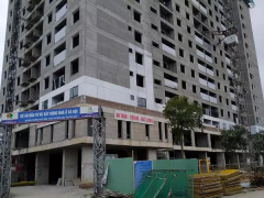 Ảnh bìa bài viết 832215