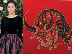 Ảnh bìa bài viết 832275