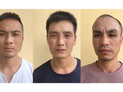 Ảnh bìa bài viết 832966