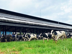 Ảnh bìa bài viết 832919