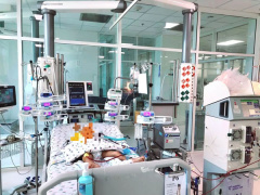 Ảnh bìa bài viết 833060