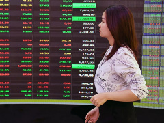 Ảnh bìa bài viết 833388