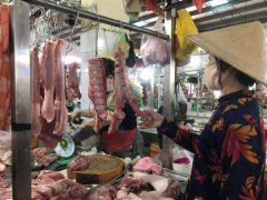 Ảnh bìa bài viết 833364