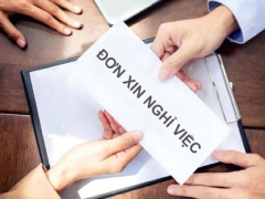 Ảnh bìa bài viết 833399
