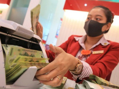 Ảnh bìa bài viết 833509
