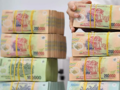 Ảnh bìa bài viết 833691
