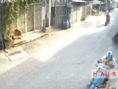 Ảnh bìa bài viết 833604