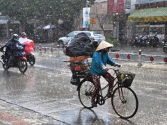 Ảnh bìa bài viết 833804