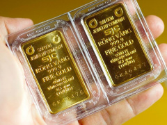 Ảnh bìa bài viết 833827