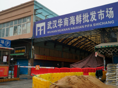 Ảnh bìa bài viết 833937