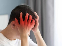 Ảnh bìa bài viết 833976