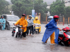 Ảnh bìa bài viết 834230