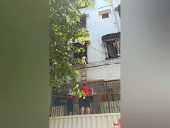 Ảnh bìa bài viết 834429