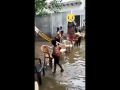 Ảnh bìa bài viết 834460