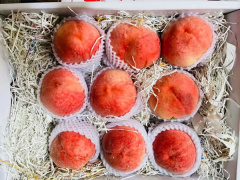 Ảnh bìa bài viết 834509
