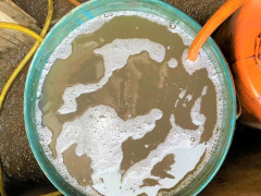 Ảnh bìa bài viết 834581