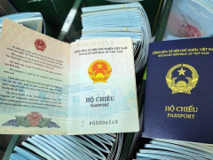 Ảnh bìa bài viết 834955