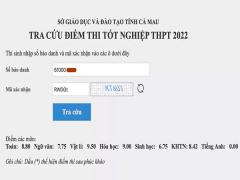 Ảnh bìa bài viết 834946