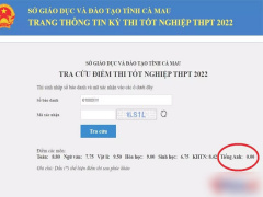 Ảnh bìa bài viết 835045