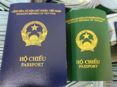 Ảnh bìa bài viết 835079