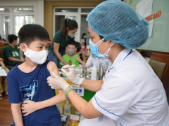 Ảnh bìa bài viết 835277