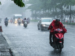 Ảnh bìa bài viết 835145